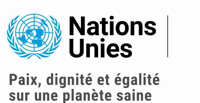 Nations Unies 
